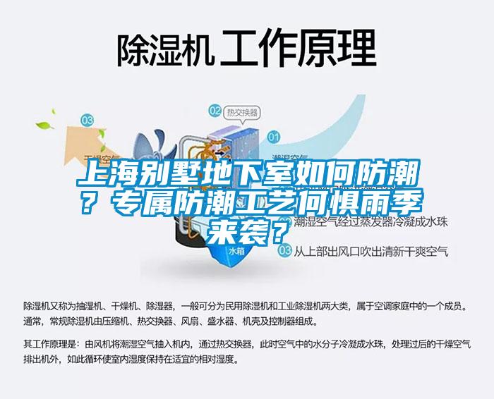 上海別墅地下室如何防潮？專屬防潮工藝何懼雨季來襲？