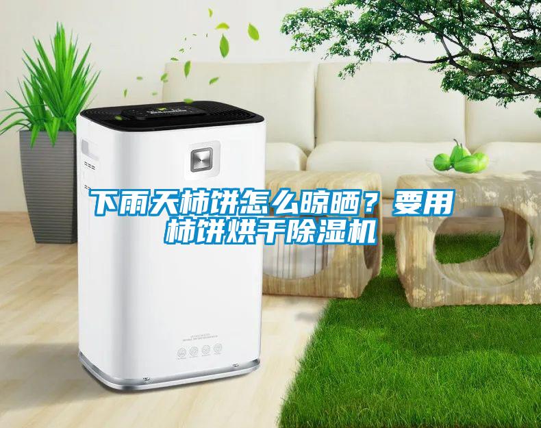 下雨天柿餅怎么晾曬？要用柿餅烘干除濕機(jī)