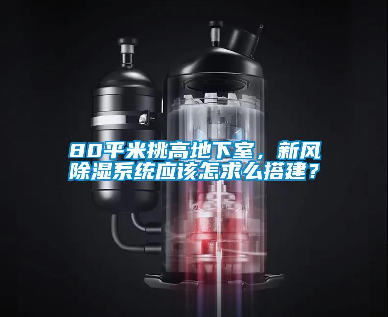 80平米挑高地下室，新風除濕系統(tǒng)應該怎求么搭建？