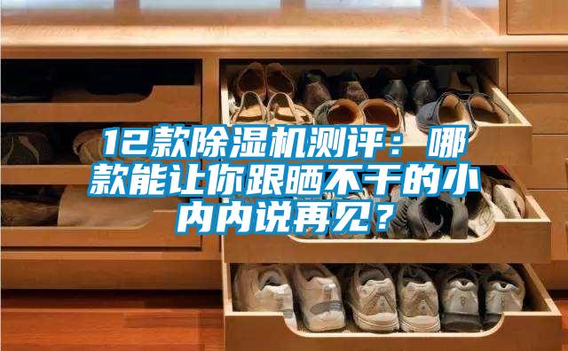 12款除濕機(jī)測(cè)評(píng)：哪款能讓你跟曬不干的小內(nèi)內(nèi)說再見？