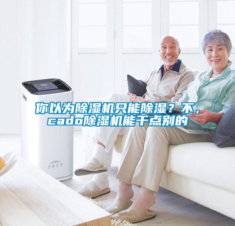 你以為除濕機(jī)只能除濕？不，cado除濕機(jī)能干點(diǎn)別的