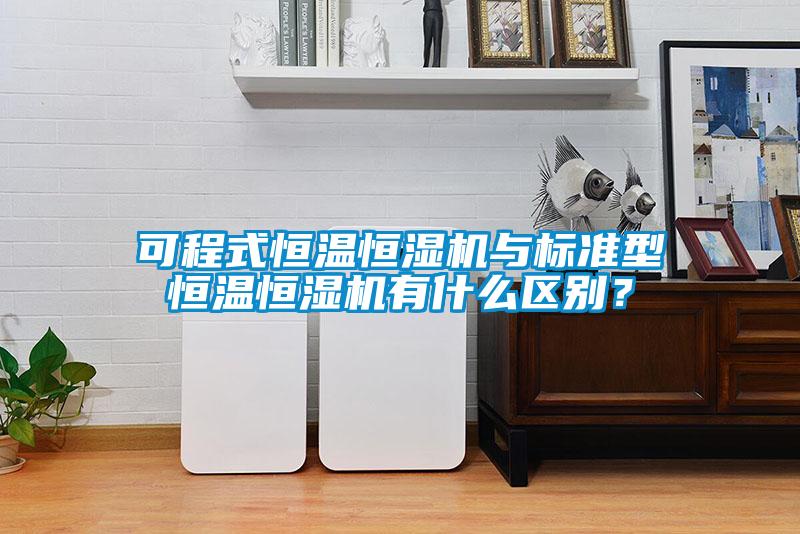 可程式恒溫恒濕機(jī)與標(biāo)準(zhǔn)型恒溫恒濕機(jī)有什么區(qū)別？