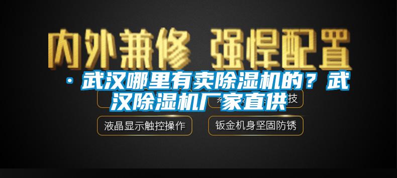 ·武漢哪里有賣除濕機(jī)的？武漢除濕機(jī)廠家直供
