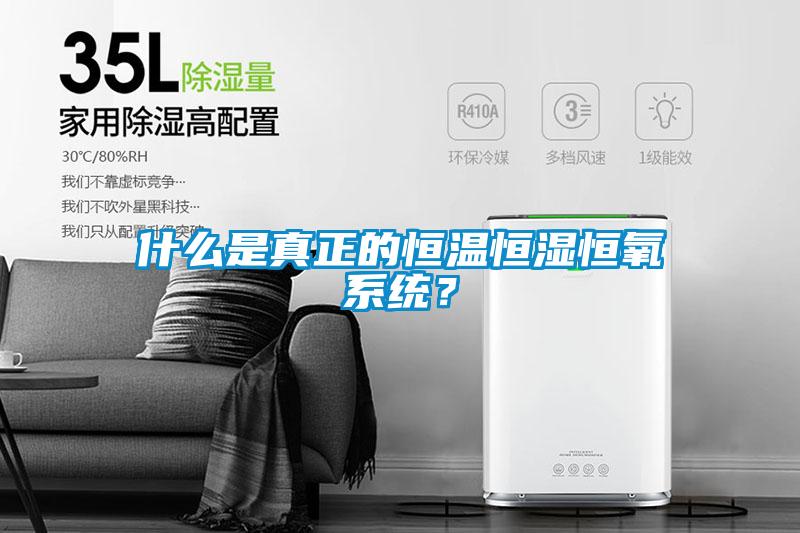 什么是真正的恒溫恒濕恒氧系統(tǒng)？