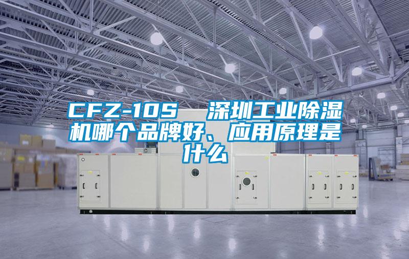 CFZ-10S  深圳工業(yè)除濕機(jī)哪個品牌好、應(yīng)用原理是什么