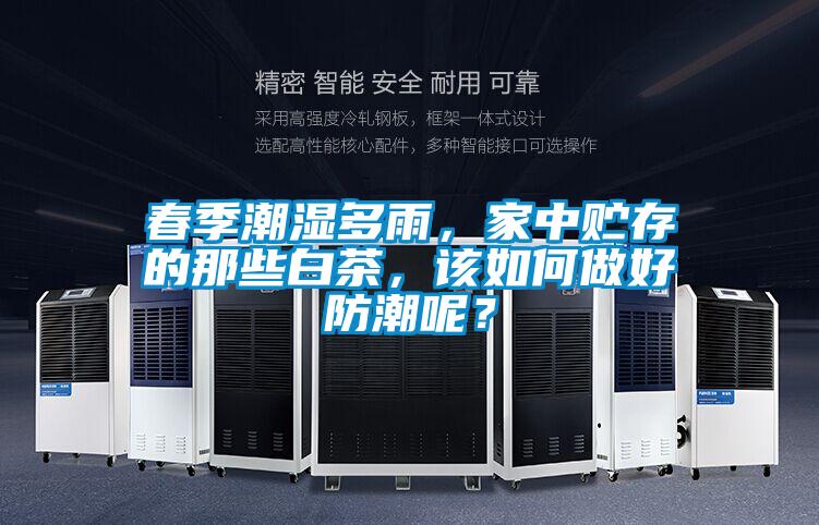春季潮濕多雨，家中貯存的那些白茶，該如何做好防潮呢？