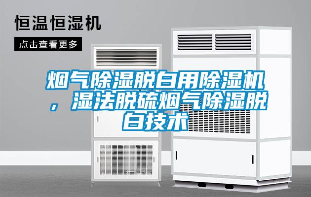 煙氣除濕脫白用除濕機，濕法脫硫煙氣除濕脫白技術(shù)