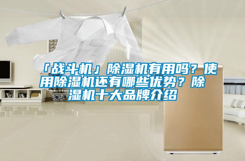「戰(zhàn)斗機(jī)」除濕機(jī)有用嗎？使用除濕機(jī)還有哪些優(yōu)勢(shì)？除濕機(jī)十大品牌介紹