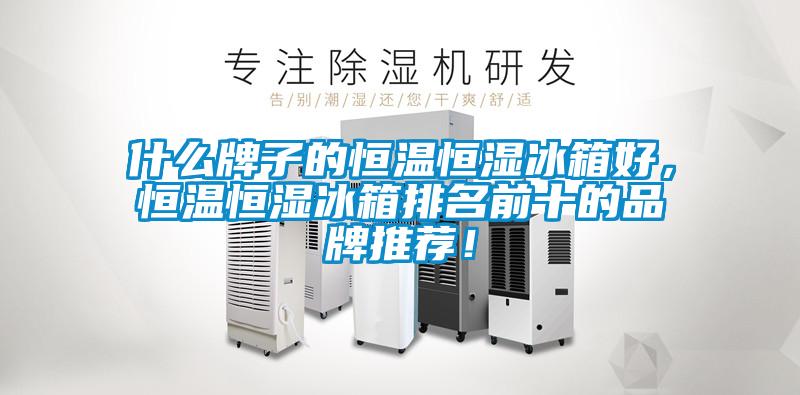 什么牌子的恒溫恒濕冰箱好，恒溫恒濕冰箱排名前十的品牌推薦！