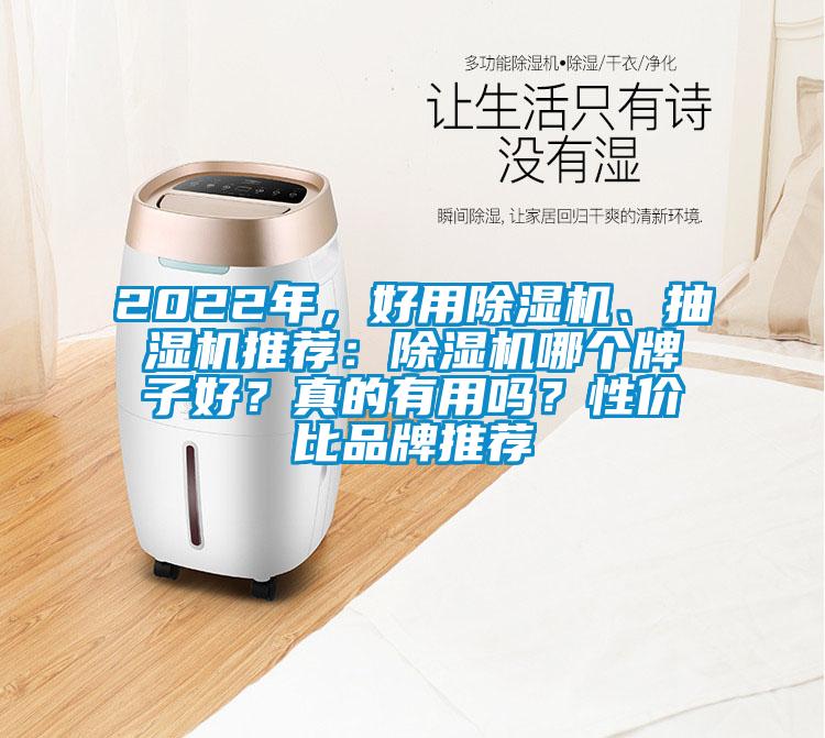 2022年，好用除濕機、抽濕機推薦：除濕機哪個牌子好？真的有用嗎？性價比品牌推薦