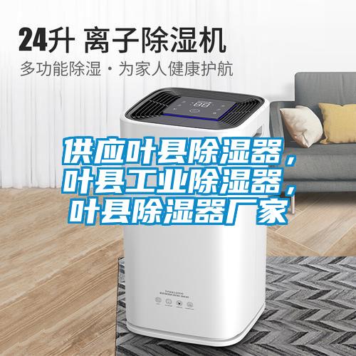 供應(yīng)葉縣除濕器，葉縣工業(yè)除濕器，葉縣除濕器廠家
