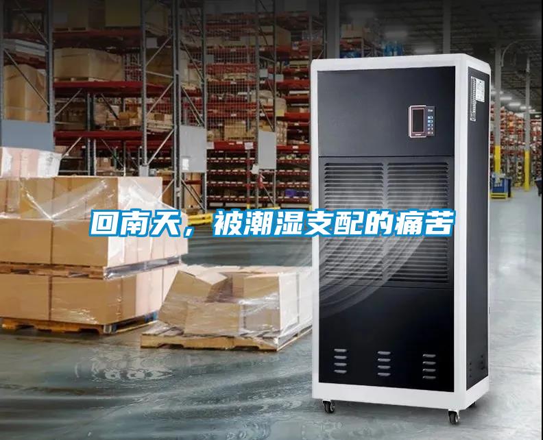回南天，被潮濕支配的痛苦