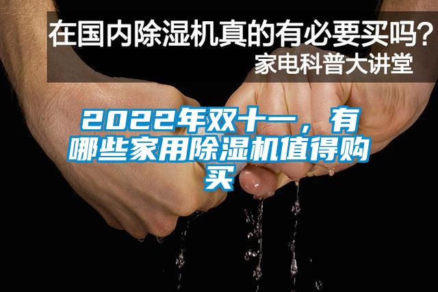 2022年雙十一，有哪些家用除濕機值得購買