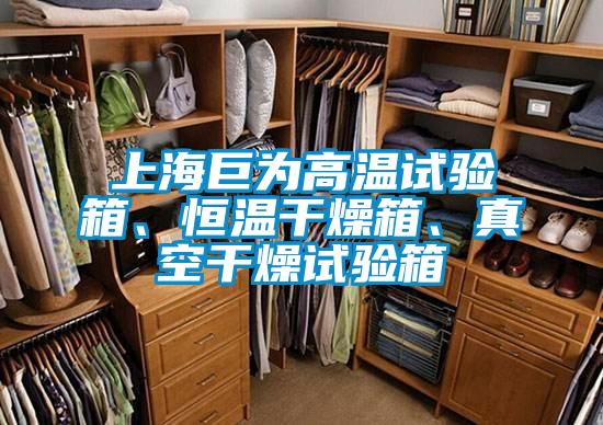 上海巨為高溫試驗箱、恒溫干燥箱、真空干燥試驗箱