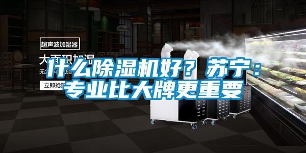 什么除濕機好？蘇寧：專業(yè)比大牌更重要