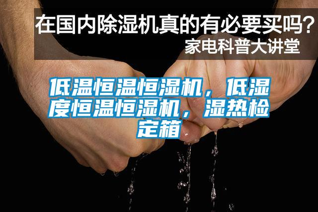 低溫恒溫恒濕機(jī)，低濕度恒溫恒濕機(jī)，濕熱檢定箱