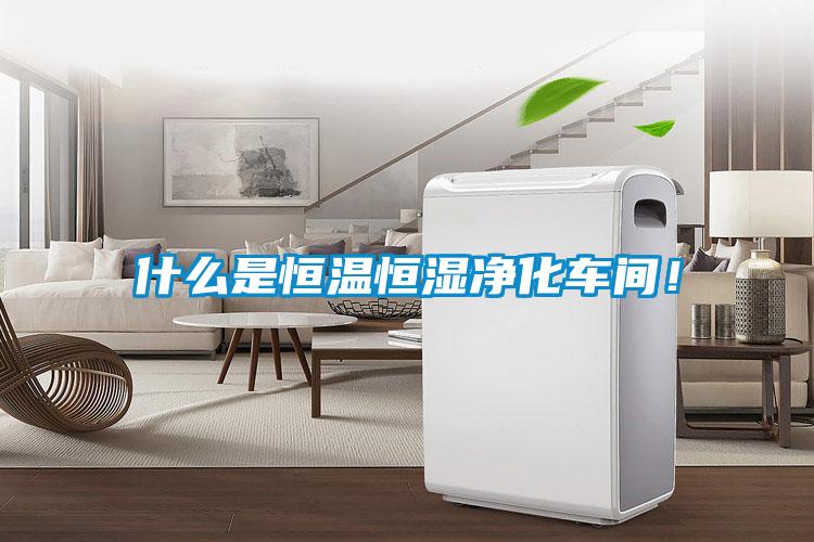 什么是恒溫恒濕凈化車間！