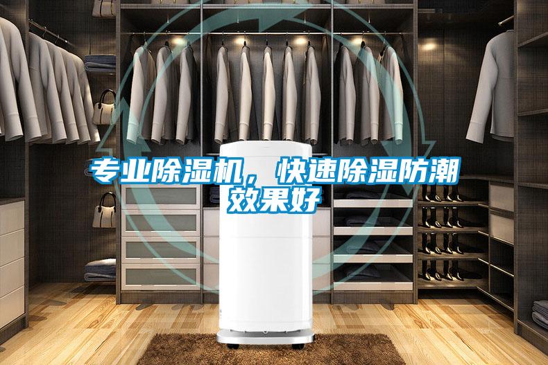 專業(yè)除濕機(jī)，快速除濕防潮效果好