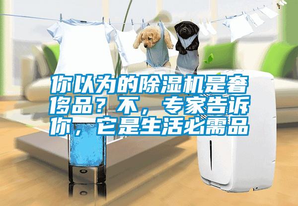你以為的除濕機(jī)是奢侈品？不，專家告訴你，它是生活必需品