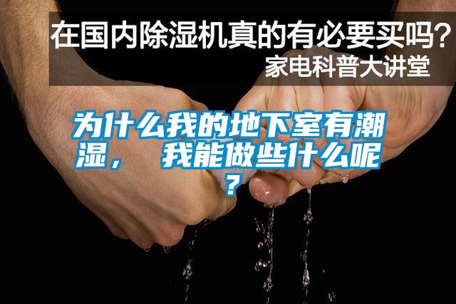 為什么我的地下室有潮濕， 我能做些什么呢？