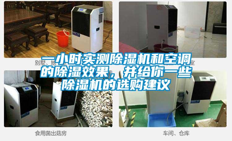 一小時實測除濕機和空調(diào)的除濕效果，并給你一些除濕機的選購建議