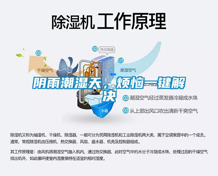 陰雨潮濕天，煩惱一鍵解決