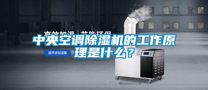 中央空調(diào)除濕機(jī)的工作原理是什么？