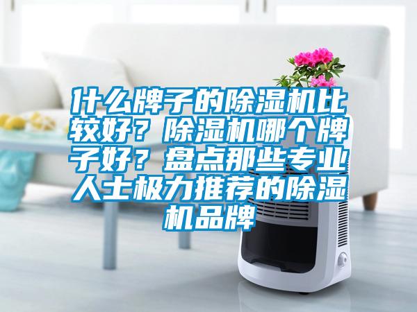什么牌子的除濕機比較好？除濕機哪個牌子好？盤點那些專業(yè)人士極力推薦的除濕機品牌
