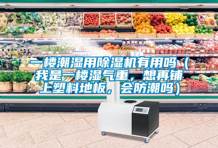 一樓潮濕用除濕機有用嗎（我是一樓濕氣重，想再鋪上塑料地板，會防潮嗎）