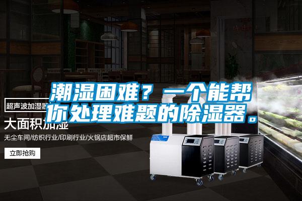 潮濕困難？一個能幫你處理難題的除濕器。