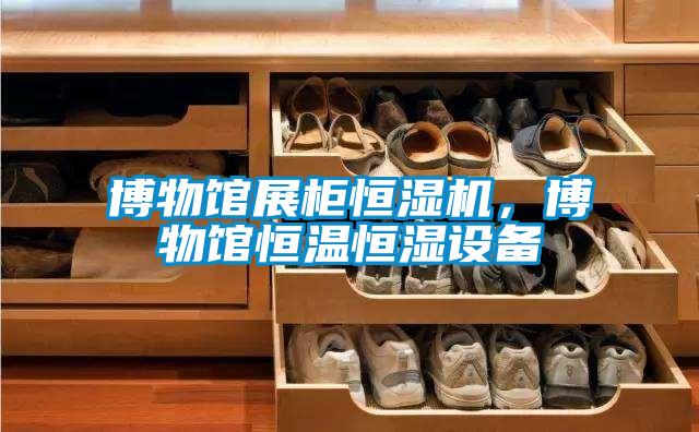 博物館展柜恒濕機(jī)，博物館恒溫恒濕設(shè)備