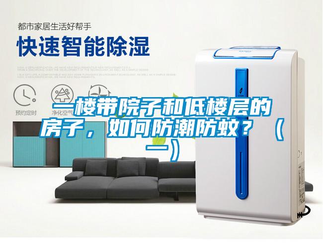 一樓帶院子和低樓層的房子，如何防潮防蚊？（一）