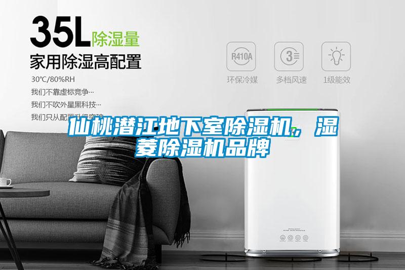 仙桃潛江地下室除濕機，濕菱除濕機品牌