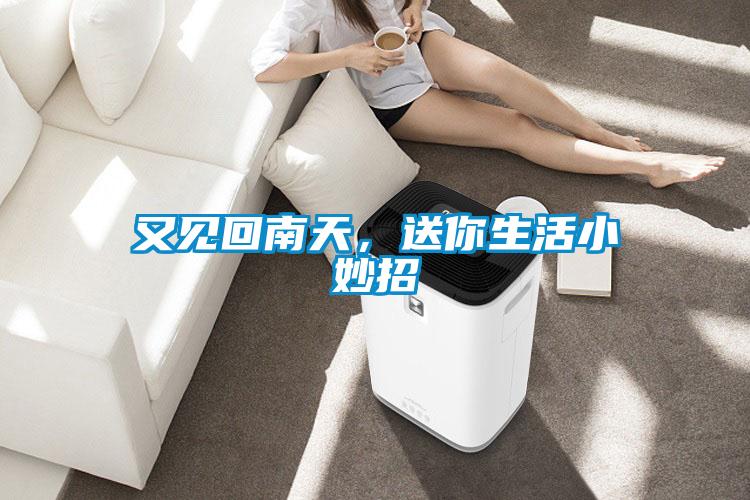 又見回南天，送你生活小妙招