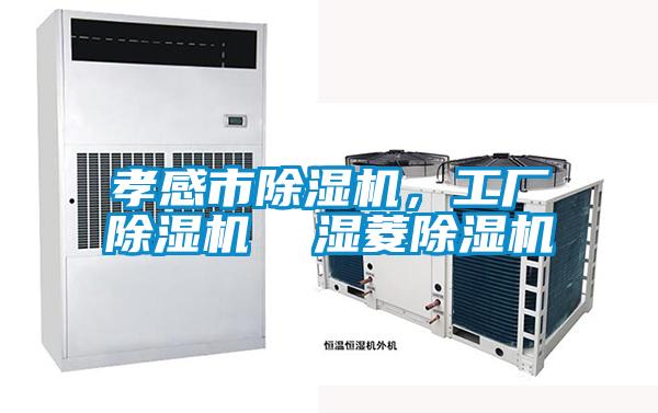孝感市除濕機(jī)，工廠除濕機(jī)  濕菱除濕機(jī)