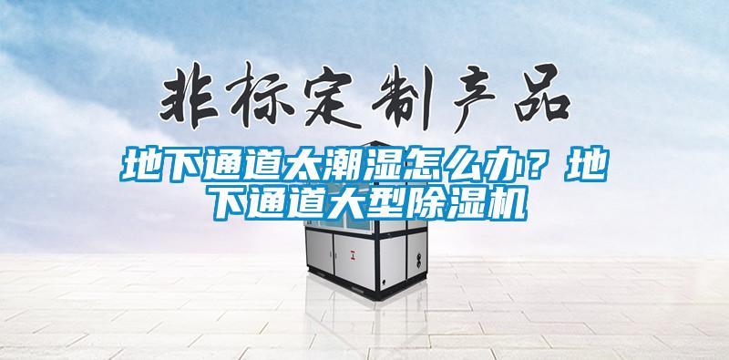 地下通道太潮濕怎么辦？地下通道大型除濕機