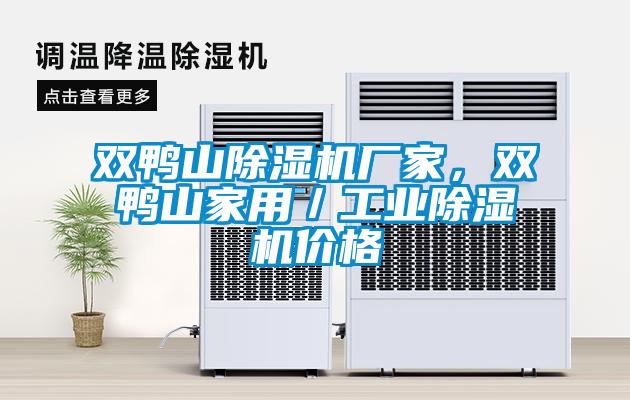 雙鴨山除濕機(jī)廠家，雙鴨山家用／工業(yè)除濕機(jī)價格