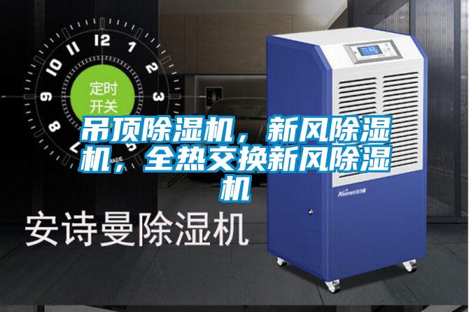 吊頂除濕機(jī)，新風(fēng)除濕機(jī)，全熱交換新風(fēng)除濕機(jī)