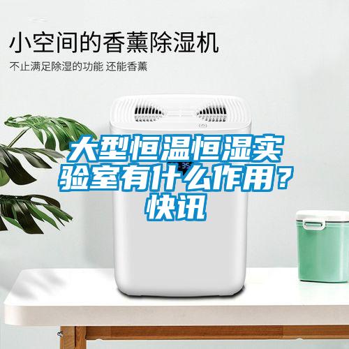 大型恒溫恒濕實驗室有什么作用？快訊