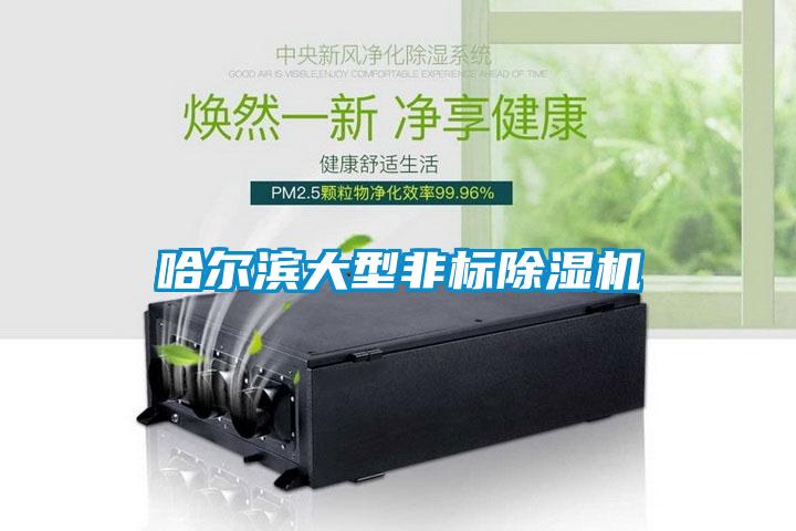 哈爾濱大型非標(biāo)除濕機