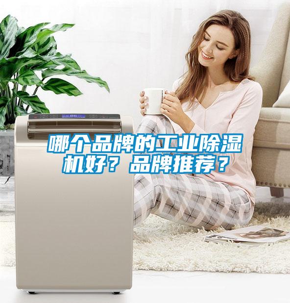 哪個(gè)品牌的工業(yè)除濕機(jī)好？品牌推薦？