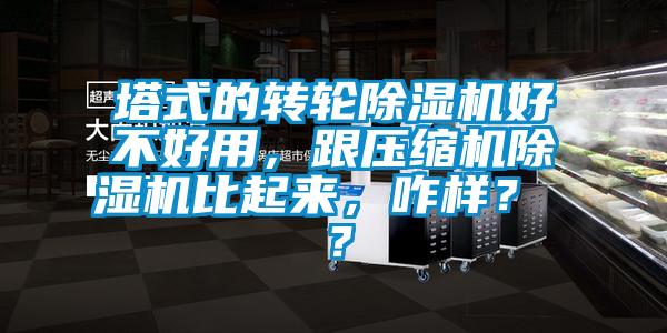 塔式的轉(zhuǎn)輪除濕機(jī)好不好用，跟壓縮機(jī)除濕機(jī)比起來(lái)，咋樣？ ？
