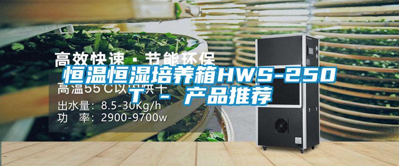 恒溫恒濕培養(yǎng)箱HWS-250T - 產品推薦