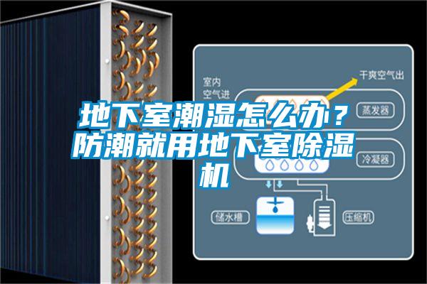 地下室潮濕怎么辦？防潮就用地下室除濕機(jī)