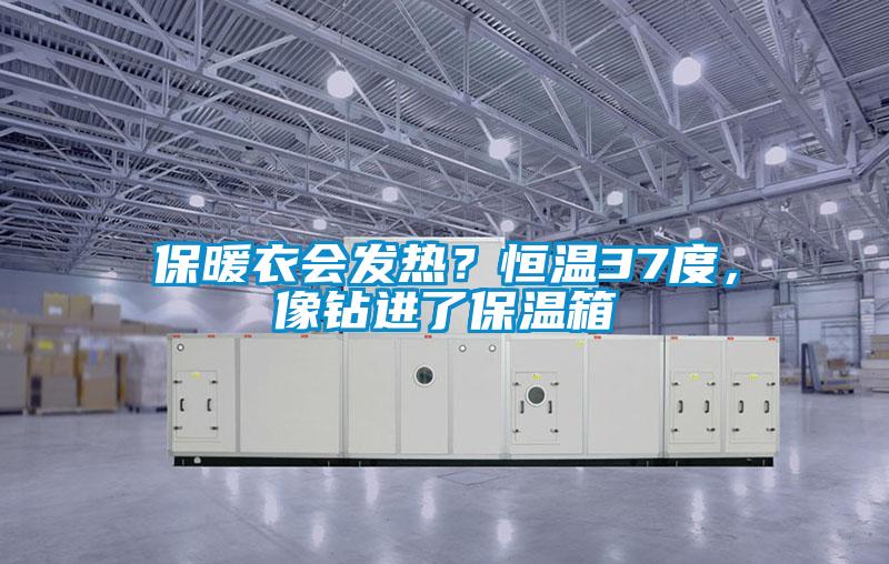保暖衣會(huì)發(fā)熱？恒溫37度，像鉆進(jìn)了保溫箱