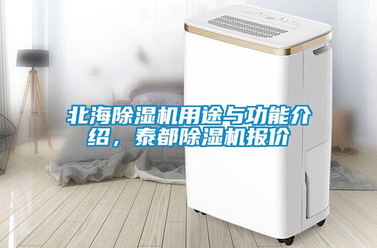北海除濕機(jī)用途與功能介紹，泰都除濕機(jī)報(bào)價(jià)