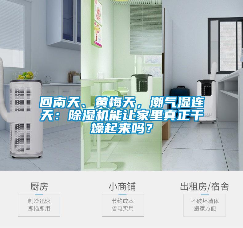 回南天、黃梅天，潮氣濕連天：除濕機(jī)能讓家里真正干燥起來(lái)嗎？