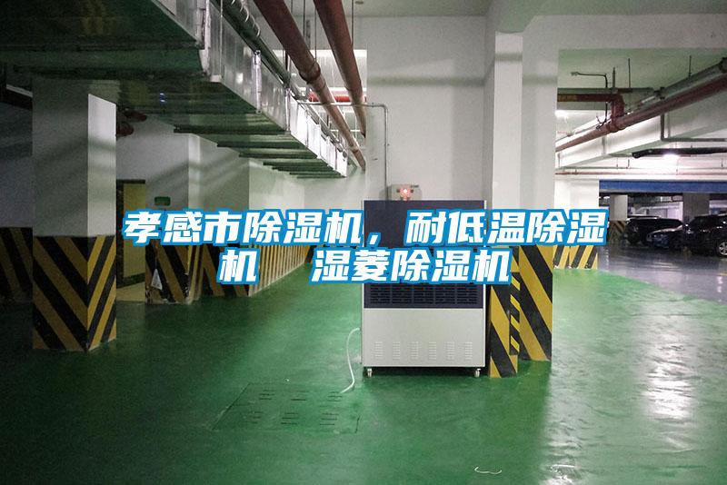 孝感市除濕機(jī)，耐低溫除濕機(jī)  濕菱除濕機(jī)