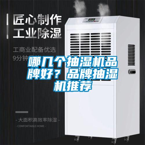 哪幾個抽濕機品牌好？品牌抽濕機推薦