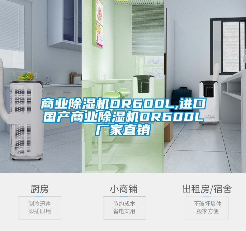 商業(yè)除濕機(jī)DR600L,進(jìn)口國(guó)產(chǎn)商業(yè)除濕機(jī)DR600L廠家直銷(xiāo)
